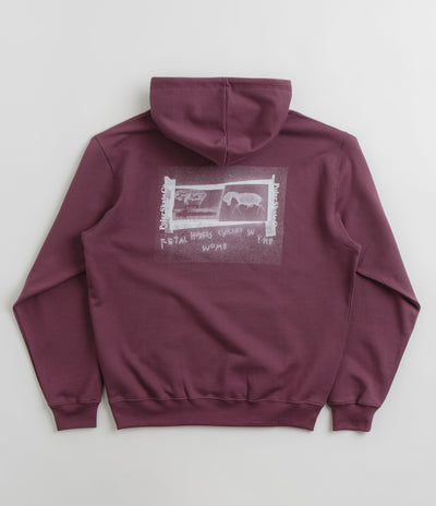 Polar Beautiful Horses Dave Hoodie - Plum