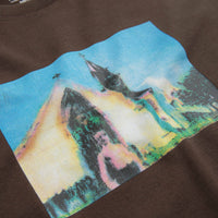 Polar Devil T-Shirt in Chocolate thumbnail