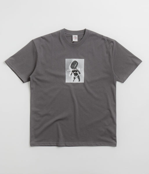 Polar Everything Is Normal T-Shirt - Graphite | Flatspot