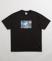 Polar Horse Dream T-Shirt in Black