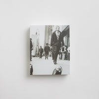 Polar N.01 Puzzle in Multi thumbnail