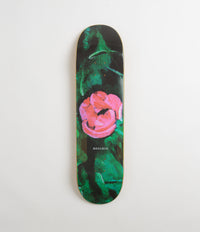 Polar Nick Boserio Amaryllis Deck in 8.375"
