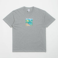 Polar Scarecrow T-Shirt in Heather Grey thumbnail