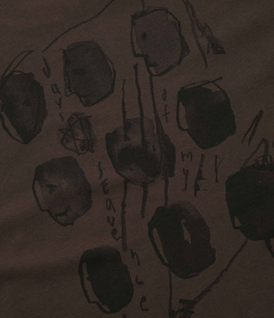 Polar Sequence Long Sleeve T-Shirt in Brown