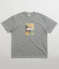Polar Skeleton Kid T-Shirt in Heather Grey