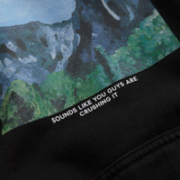 Polar Sounds Like You Guys Are Crushing It Ed Hoodie in Black thumbnail