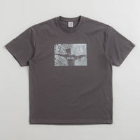 Polar Sustained Disintegration T-Shirt in Graphite thumbnail
