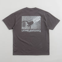 Polar Sustained Disintegration T-Shirt in Graphite thumbnail