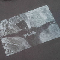 Polar Sustained Disintegration T-Shirt in Graphite thumbnail