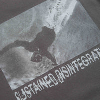 Polar Sustained Disintegration T-Shirt in Graphite thumbnail