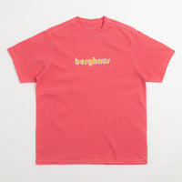 Pop Trading Company x Berghaus Logo T-Shirt - Washed Haute Red thumbnail