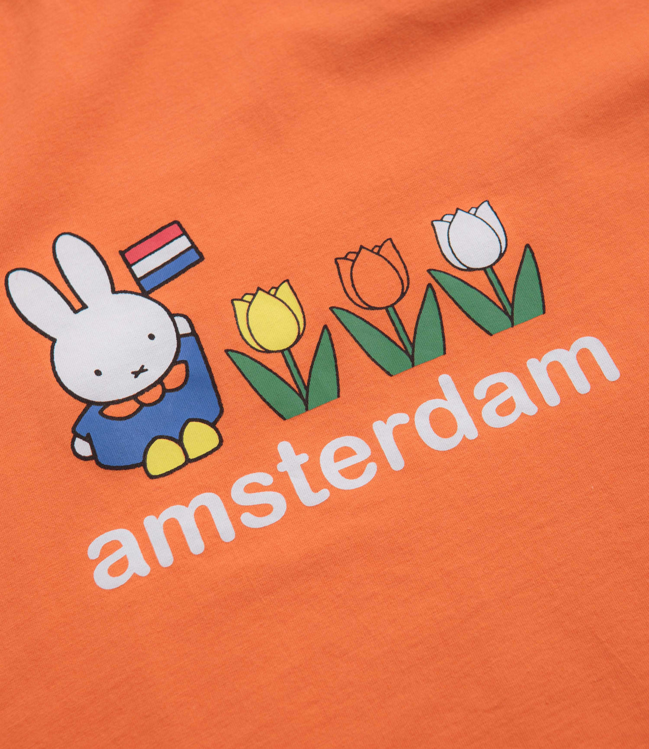Pop Trading Company x Miffy Amsterdam Long Sleeve T-Shirt