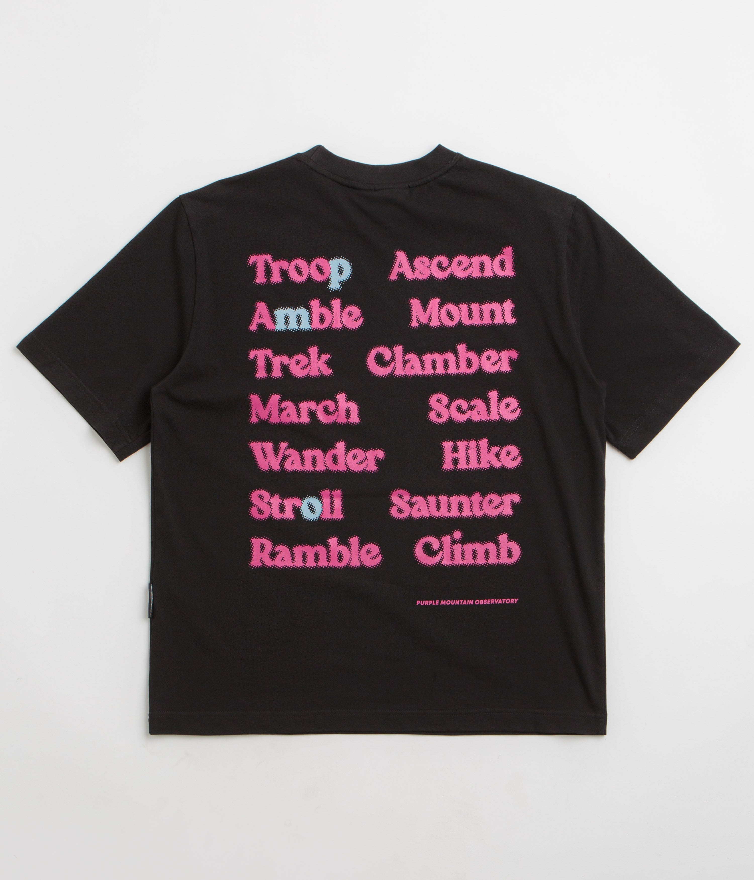 Purple Mountain Observatory Ascend T-Shirt in Black