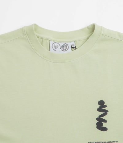 Purple Mountain Observatory Boulders T-Shirt in Sage