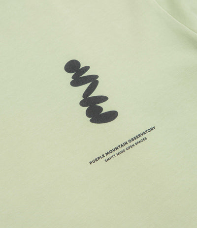 Purple Mountain Observatory Boulders T-Shirt in Sage