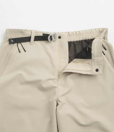 Purple Mountain Observatory Terrain Pants - Stone / Stone