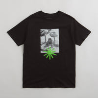 Quasi Toad T-Shirt in Black thumbnail