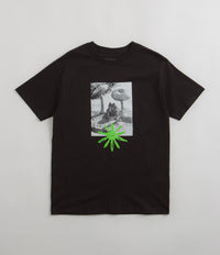 Quasi Toad T-Shirt in Black