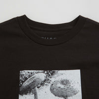 Quasi Toad T-Shirt - Black thumbnail