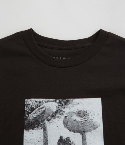 Quasi Toad T-Shirt in Black