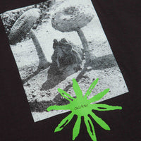 Quasi Toad T-Shirt in Black thumbnail