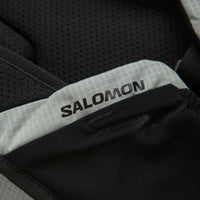 Salomon ACS 20L Day Pack in Metal thumbnail