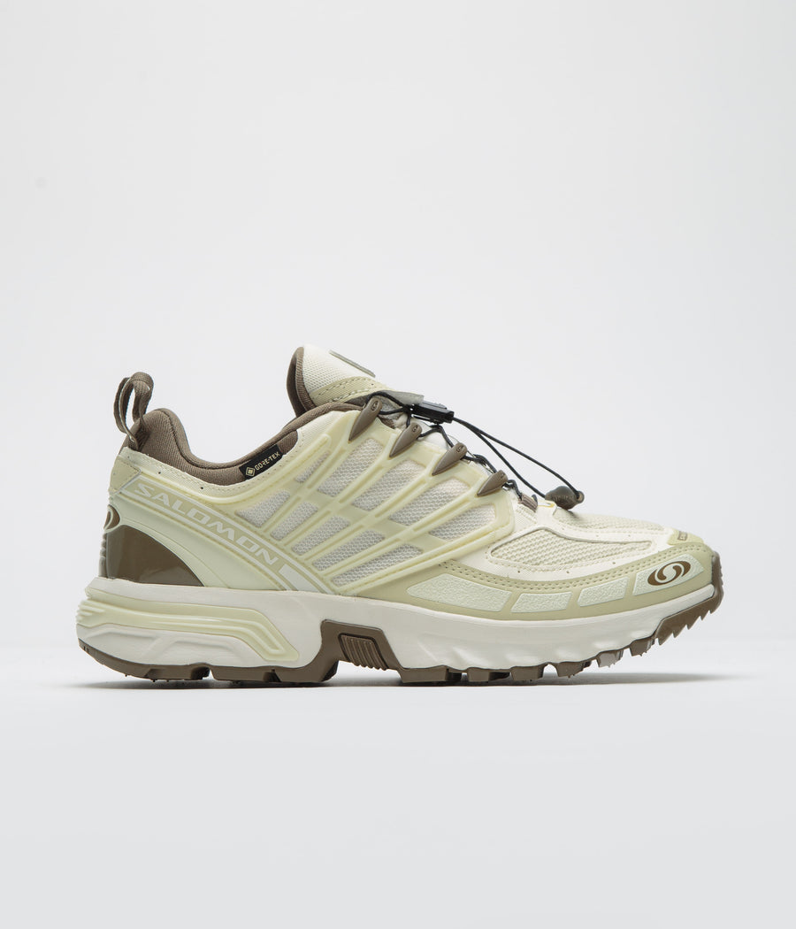 Salomon ACS Pro GTX Shoes in Vanilla Ice and Green Haze / Stone Gray