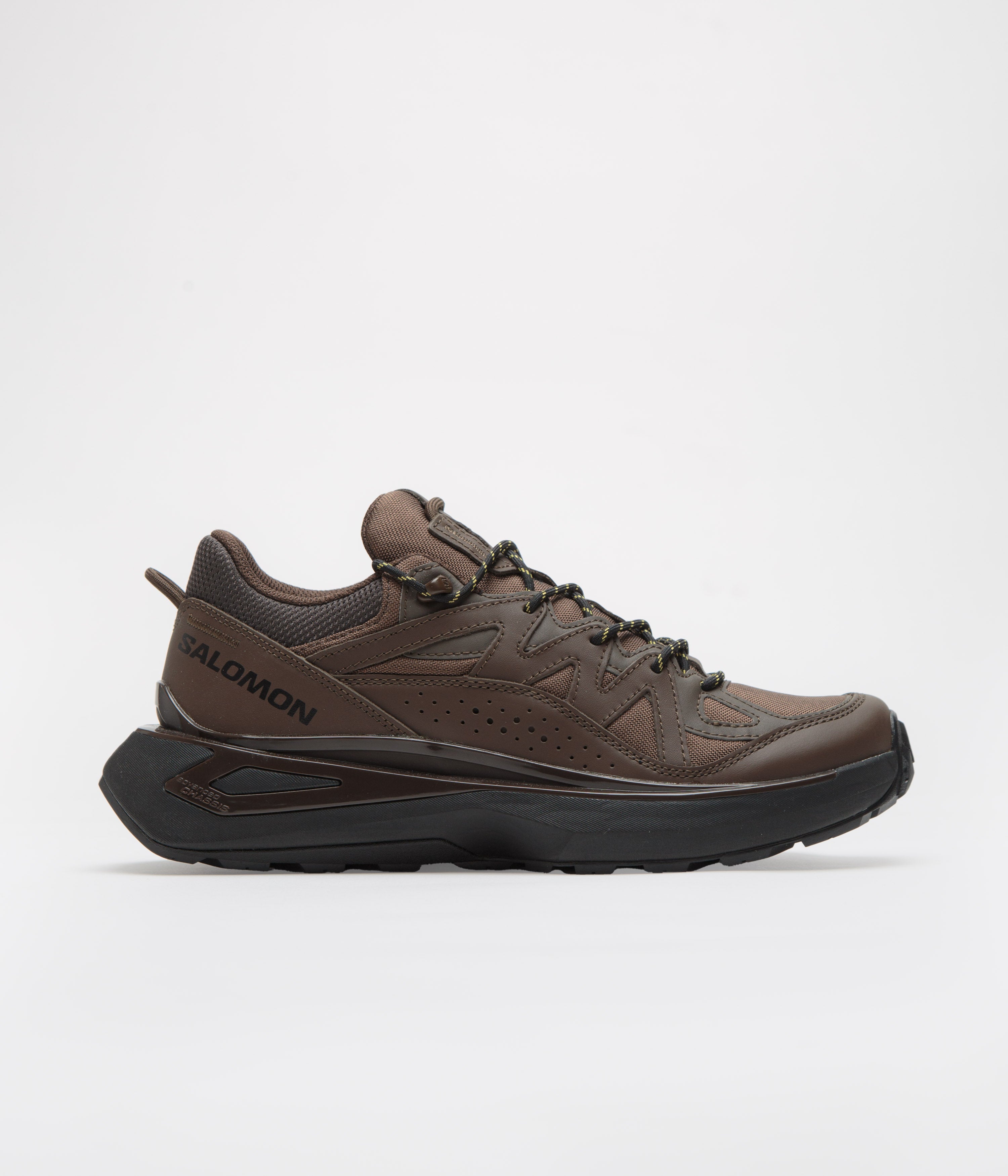 Salomon Odyssey ELMT Low LTR Shoes in Wren and Delicioso / Black