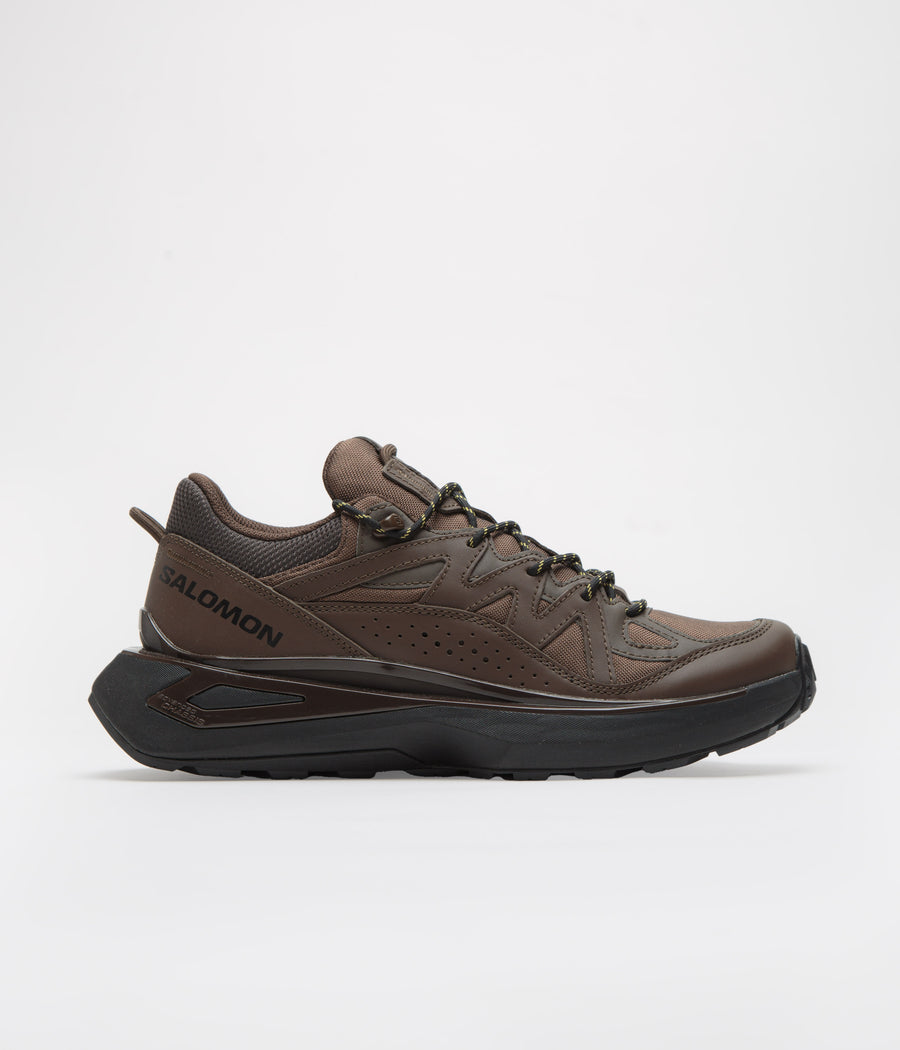 Salomon Odyssey ELMT Low LTR Shoes in Wren and Delicioso / Black
