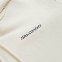 Salomon Window Graphic Hoodie in Vanilla Ice thumbnail