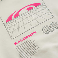 Salomon Window Graphic Hoodie in Vanilla Ice thumbnail
