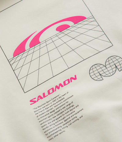 Salomon Window Graphic Hoodie - Vanilla Ice