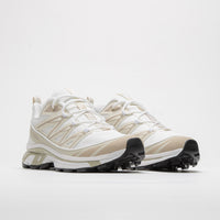 Salomon XT-6 Expanse Shoes in White and Rainy Day / Oxford Tan thumbnail