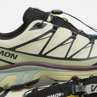 Salomon XT-6 GTX Shoes in Aspargus Green and Tea / Bitter Chocolate thumbnail