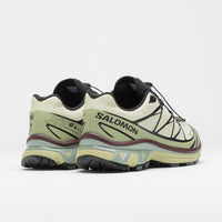 Salomon XT-6 GTX Shoes in Aspargus Green and Tea / Bitter Chocolate thumbnail