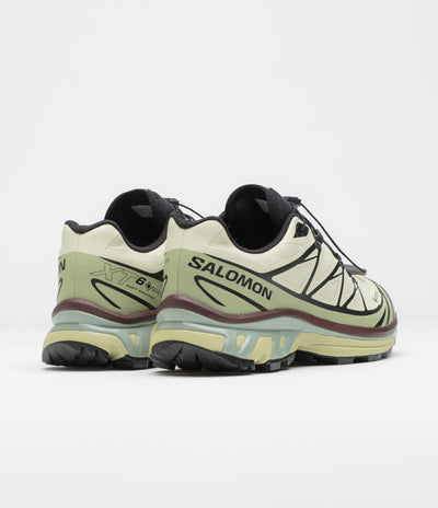 Salomon XT-6 GTX Shoes in Aspargus Green and Tea / Bitter Chocolate