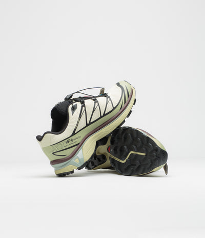 Salomon XT-6 GTX Shoes in Aspargus Green and Tea / Bitter Chocolate
