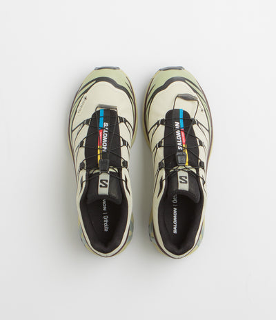 Salomon XT-6 GTX Shoes in Aspargus Green and Tea / Bitter Chocolate