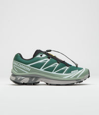 Salomon XT-6 Shoes in Bistro Green and Green Milieu / Black