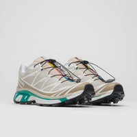 Salomon XT-6 Shoes - Rainy Day / Chinchilla / Dynasty Green thumbnail