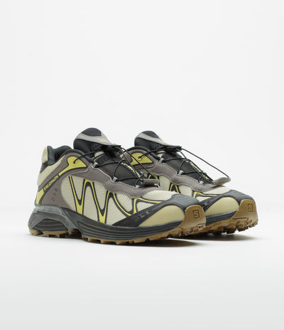Salomon XT-Whisper Shoes in Aspargus Green and Dark Gull Gray / Endive