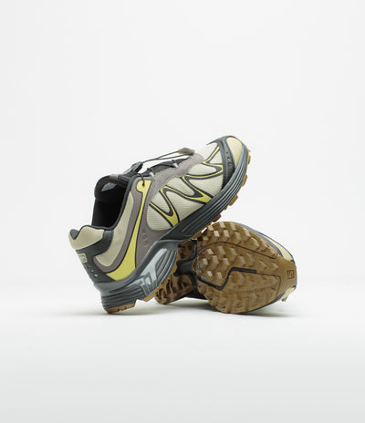 Salomon XT-Whisper Shoes in Aspargus Green and Dark Gull Gray / Endive