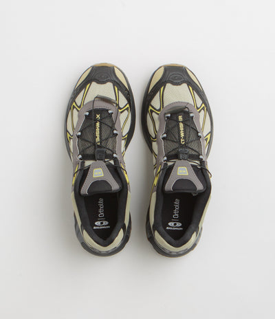 Salomon XT-Whisper Shoes in Aspargus Green and Dark Gull Gray / Endive