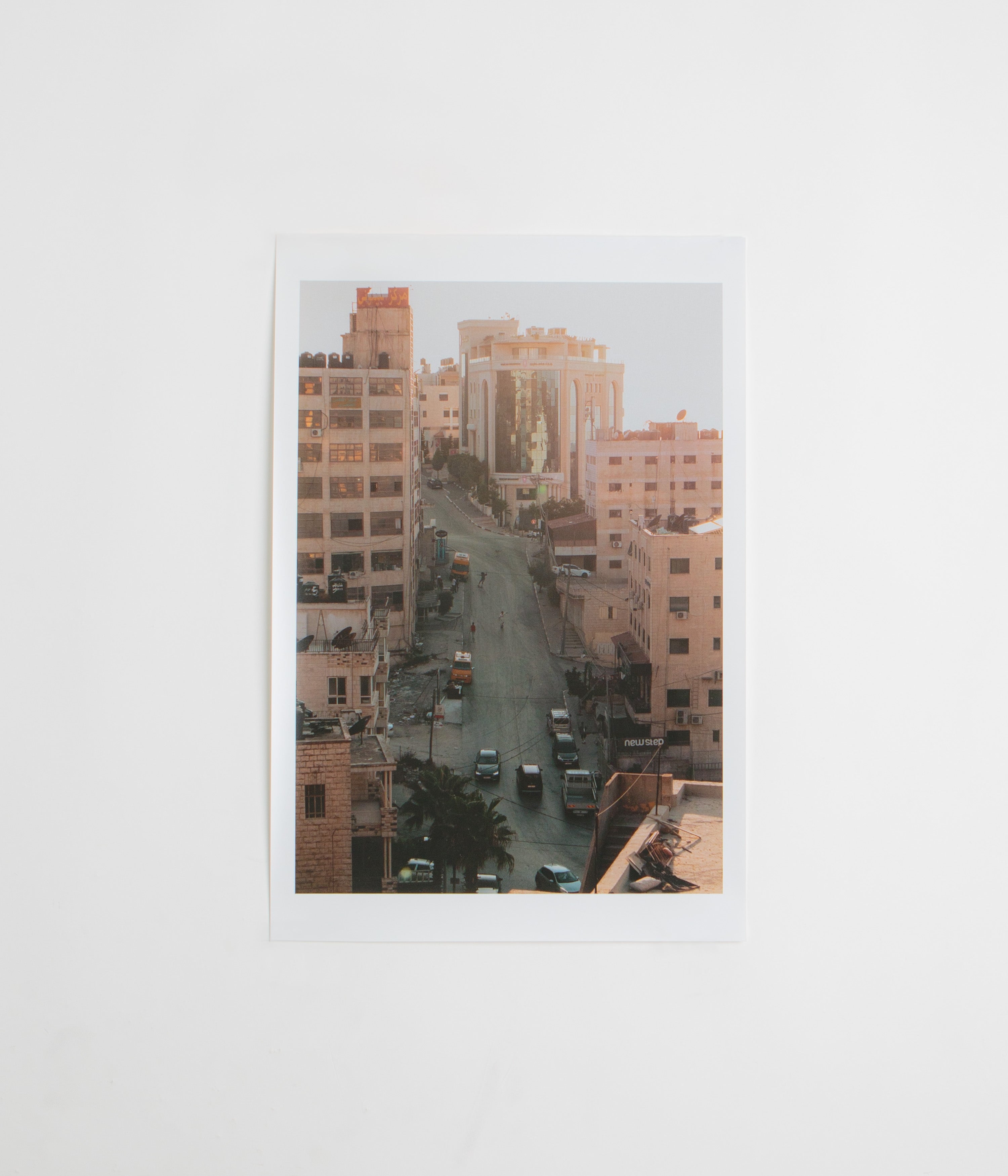 SkatePal Editions #1 Print in Multi