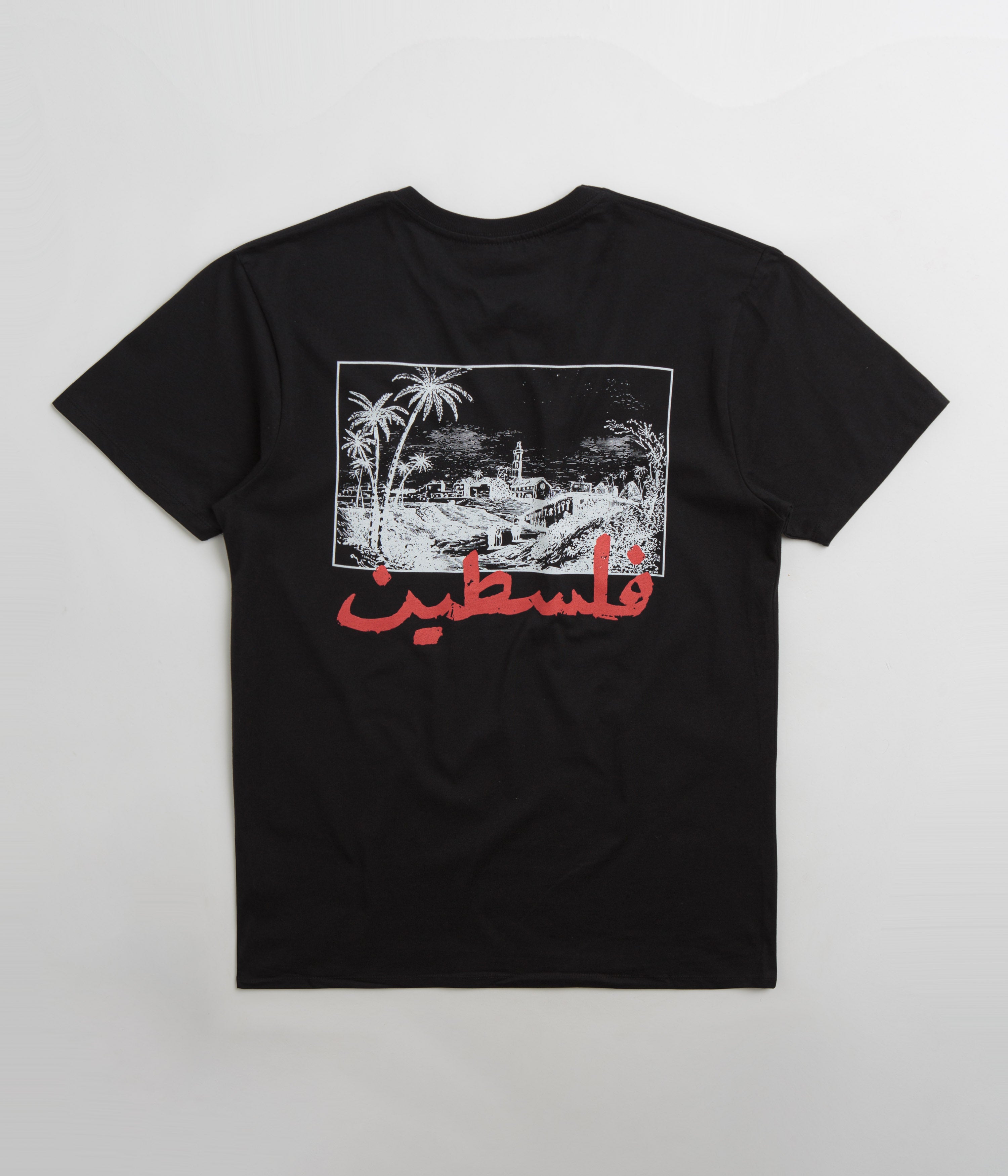SkatePal Palms T-Shirt in Black