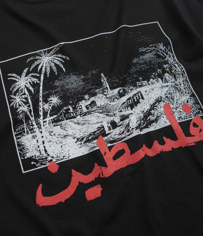 SkatePal Palms T-Shirt in Black