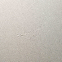 Snow Peak Titanium Trek Bowl in Silver thumbnail