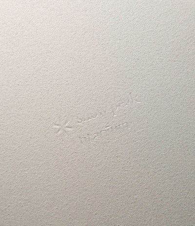 Snow Peak Titanium Trek Bowl in Silver