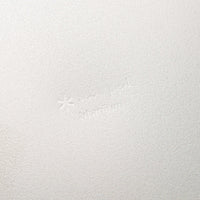 Snow Peak Titanium Trek Plate in Silver thumbnail