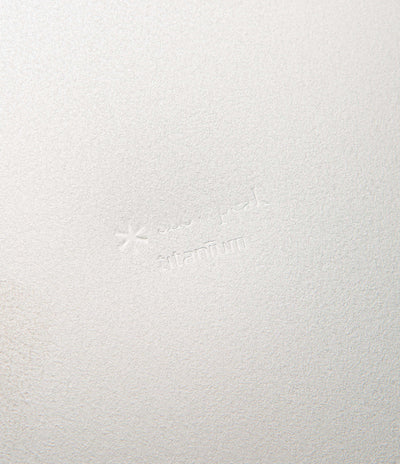 Snow Peak Titanium Trek Plate in Silver